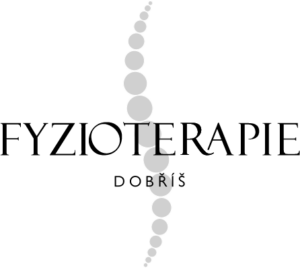 fyzioterapie dobříš logo